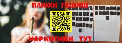 сатива Аргун