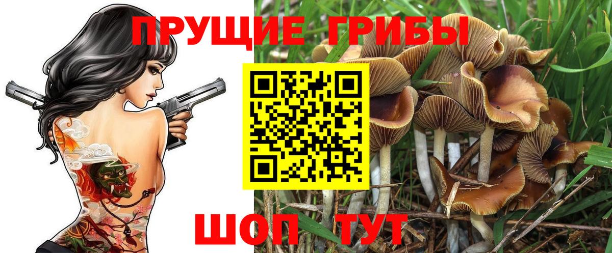 Псилоцибиновые грибы ЛСД Ногинск