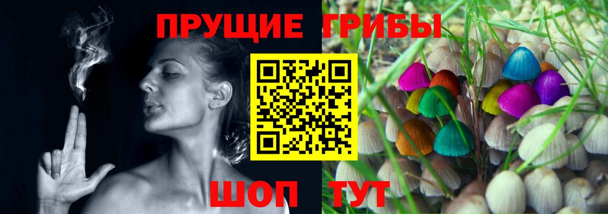 Галлюциногенные грибы GOLDEN TEACHER  Вход с VPN  Ногинск  Псилоцибиновые грибы Magic Shrooms 
